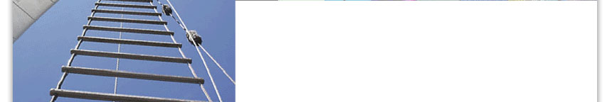 Vizhen Marketing Photo 2